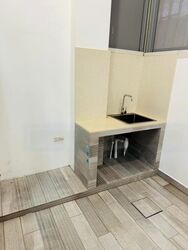 Hougang Avenue 1 (D19), Terrace #475851261